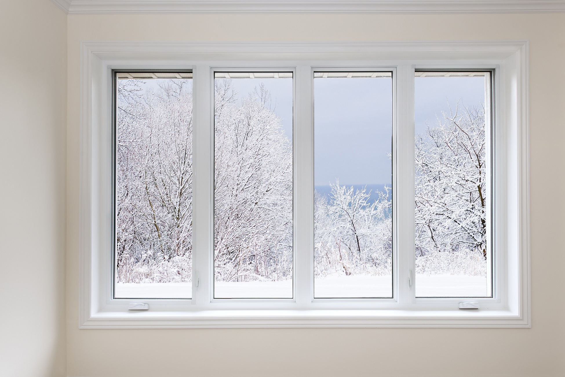 Large four pane window looking on snow covered trees in winter